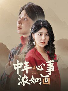 中年心事浓如酒海报